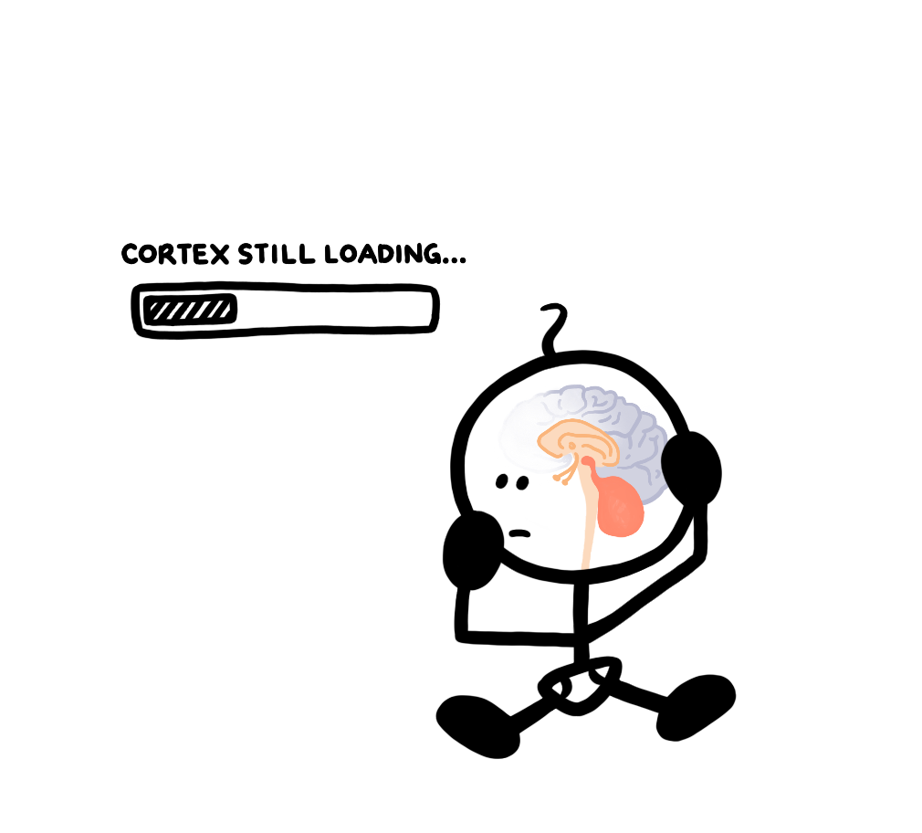baby-cortex-loading